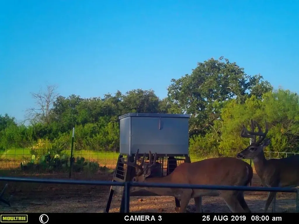 1688 Highway 573 Comanche TX 76442