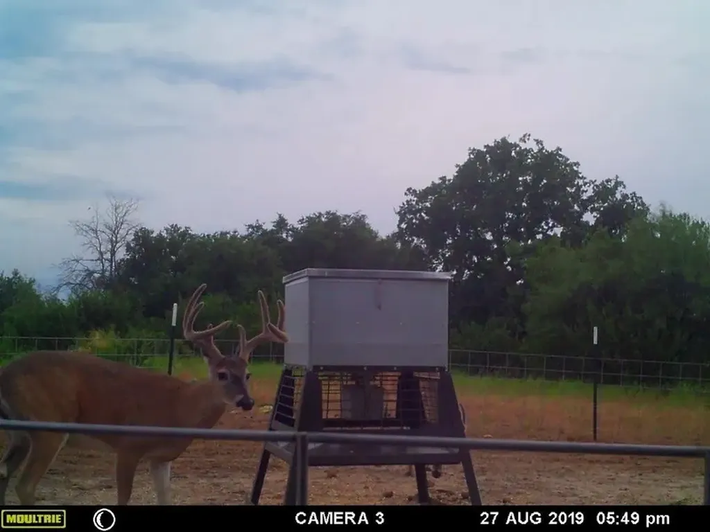 1688 Highway 573 Comanche TX 76442