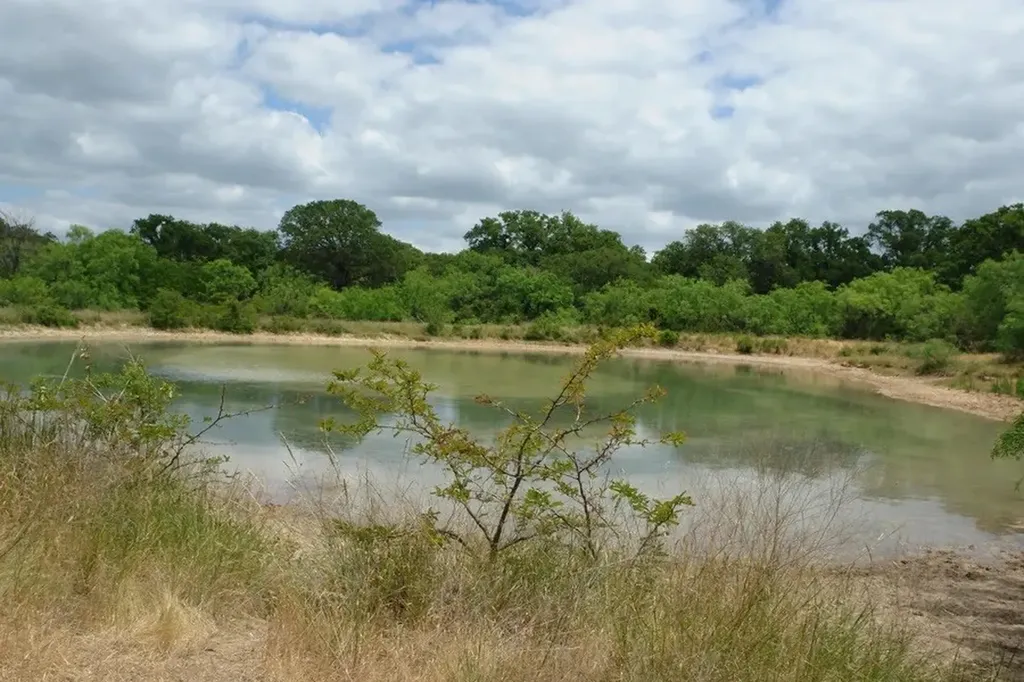1688 Highway 573 Comanche TX 76442