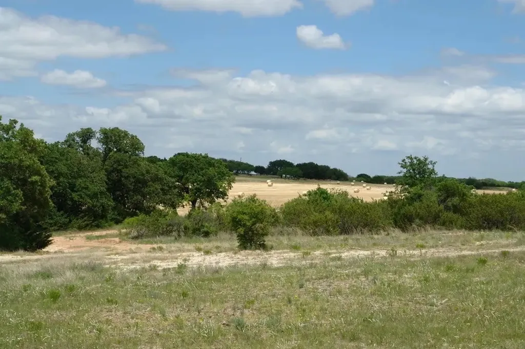 1688 Highway 573 Comanche TX 76442
