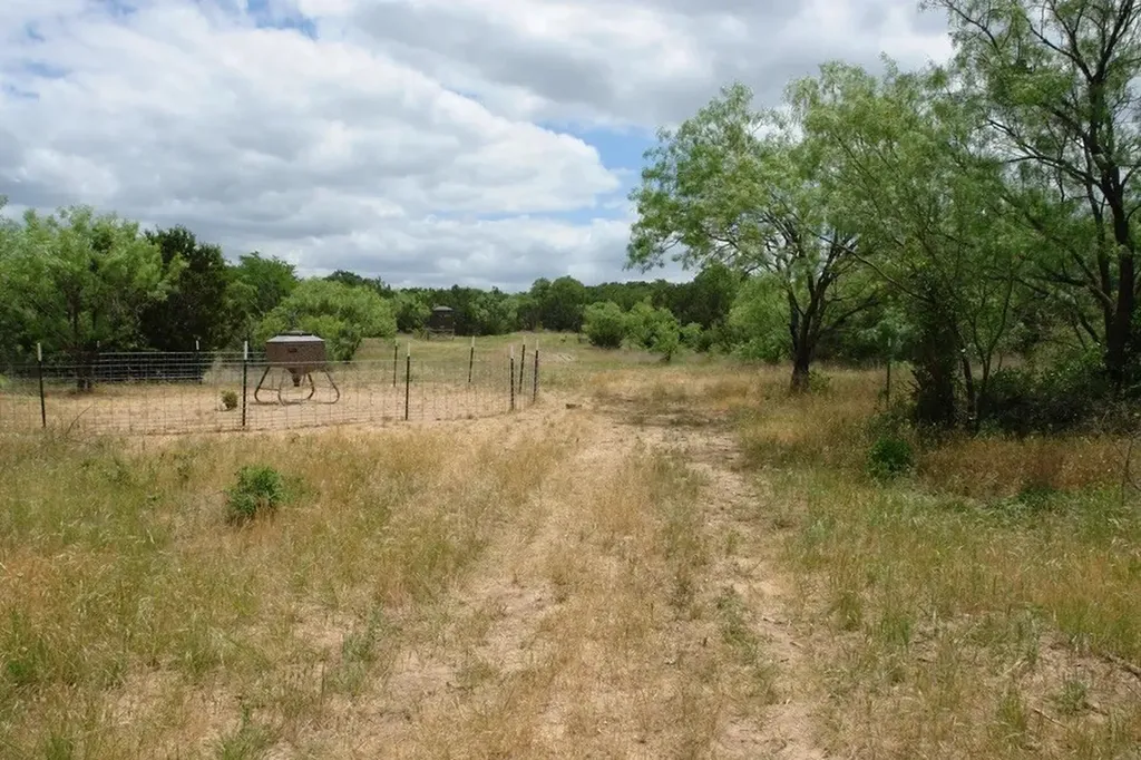 1688 Highway 573 Comanche TX 76442