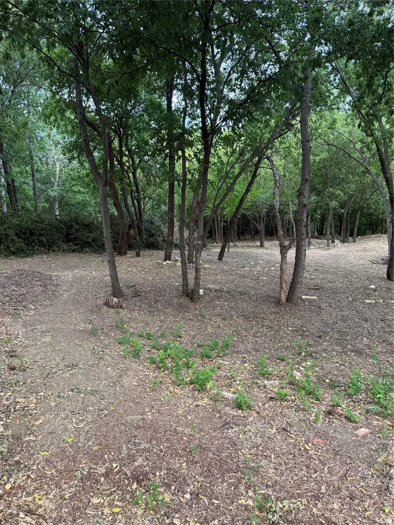 710 Spring Miller Court Arlington TX 76002