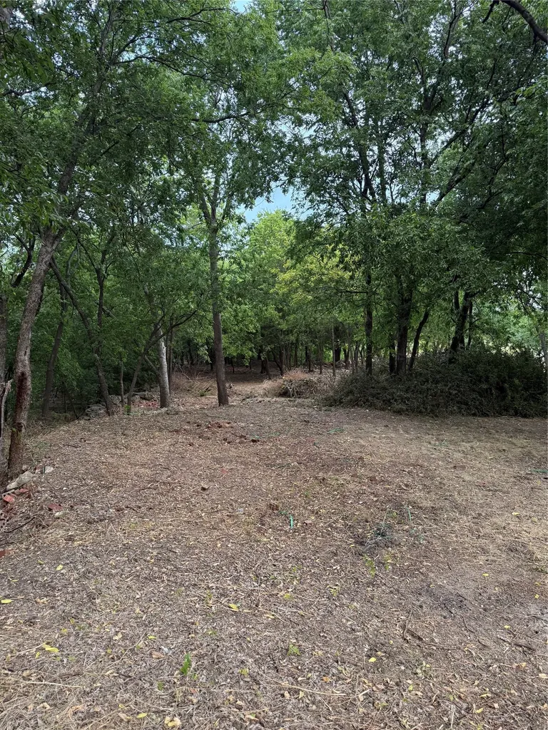 710 Spring Miller Court Arlington TX 76002