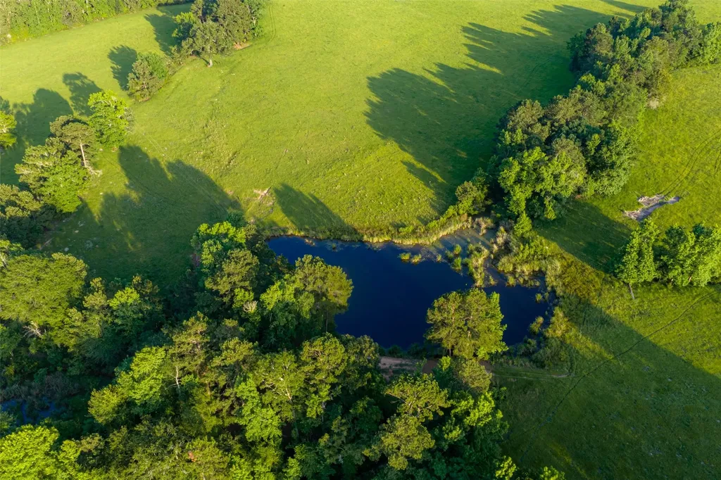 2030 County Road 1640 Grapeland TX 75844