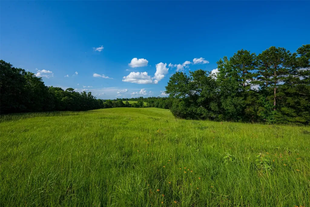 2030 County Road 1640 Grapeland TX 75844