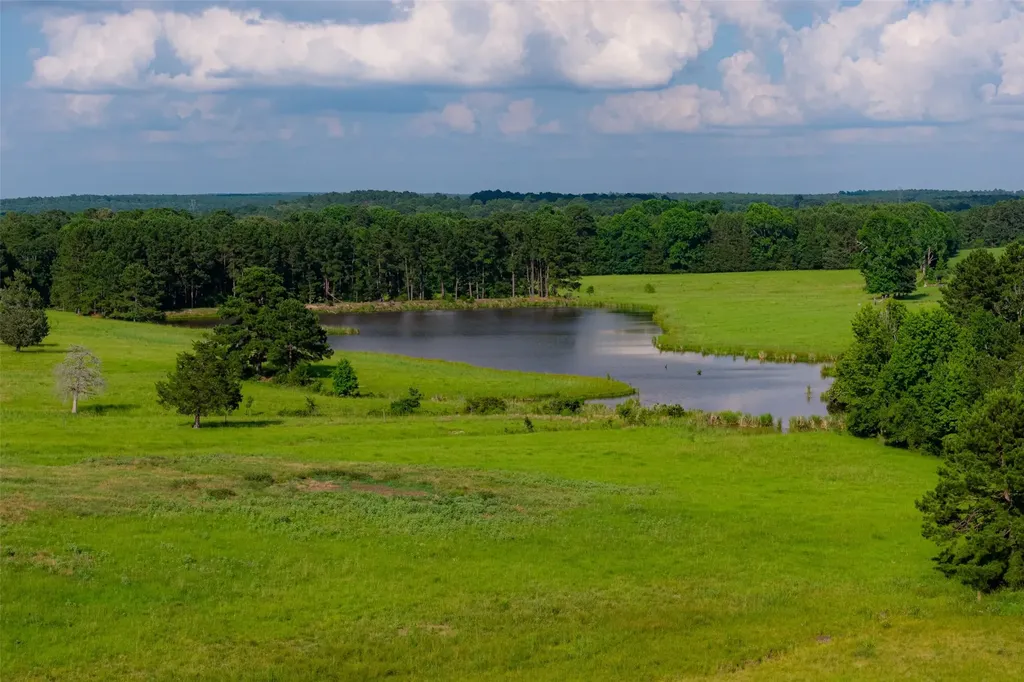 2030 County Road 1640 Grapeland TX 75844