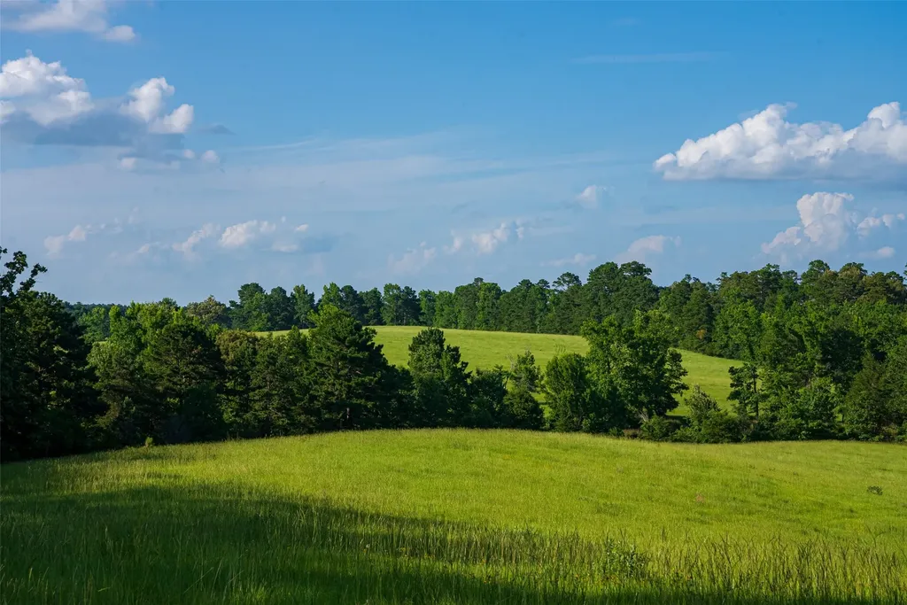 2030 County Road 1640 Grapeland TX 75844