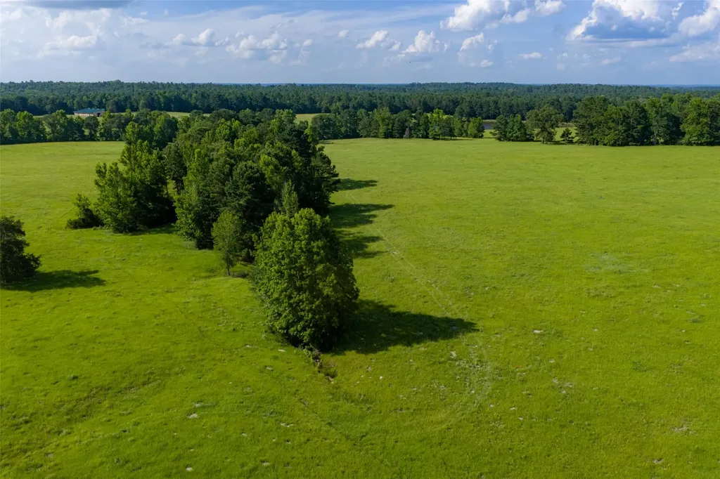 2030 County Road 1640 Grapeland TX 75844