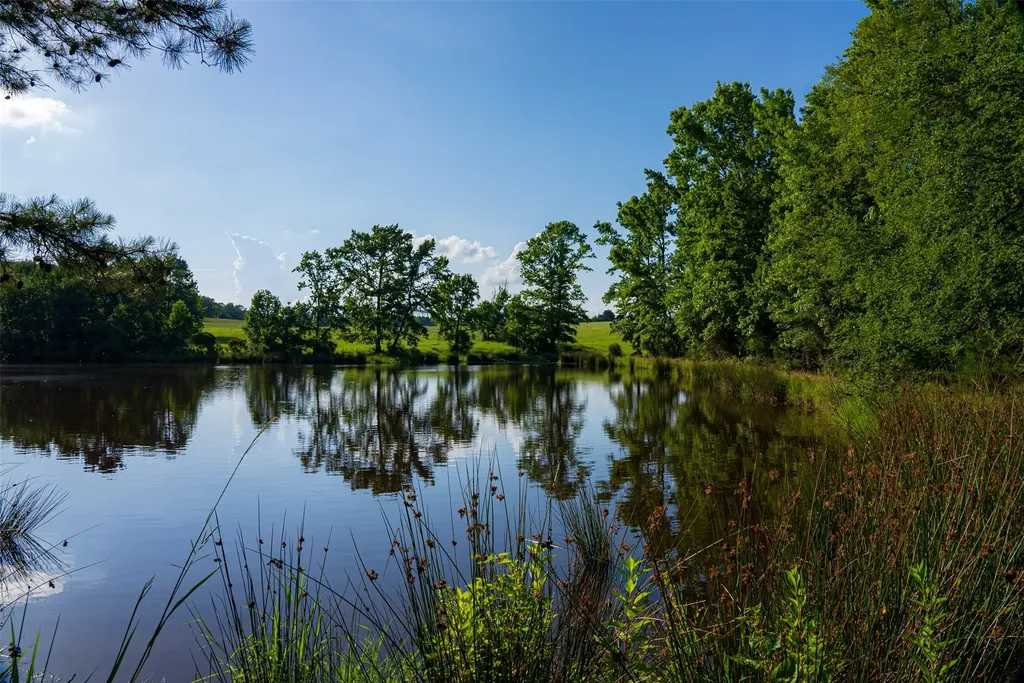 2030 County Road 1640 Grapeland TX 75844