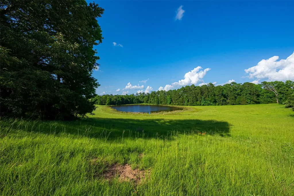 2030 County Road 1640 Grapeland TX 75844