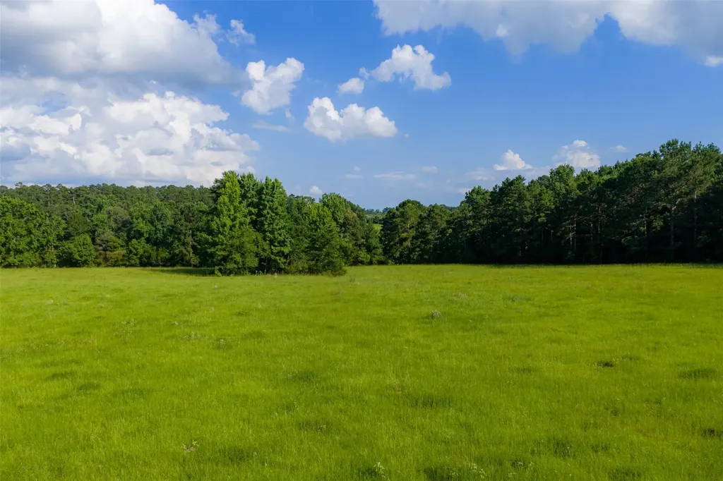 2030 County Road 1640 Grapeland TX 75844