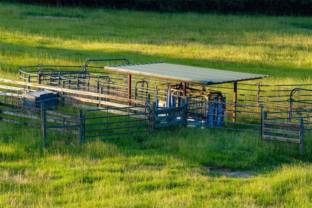 2030 County Road 1640 Grapeland TX 75844