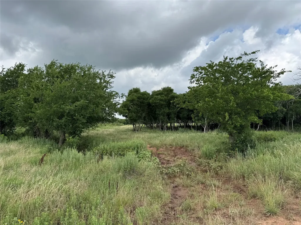 0 Longview Lane Bowie TX 76230