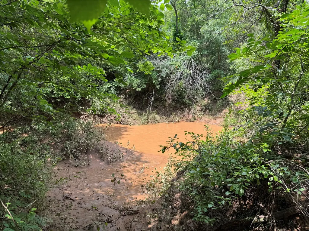 0 Longview Lane Bowie TX 76230