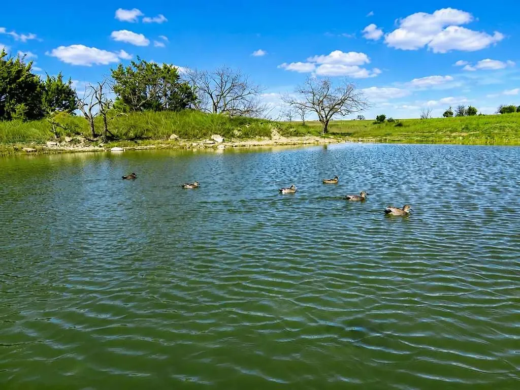 854 County Road 131 Gatesville TX 76528