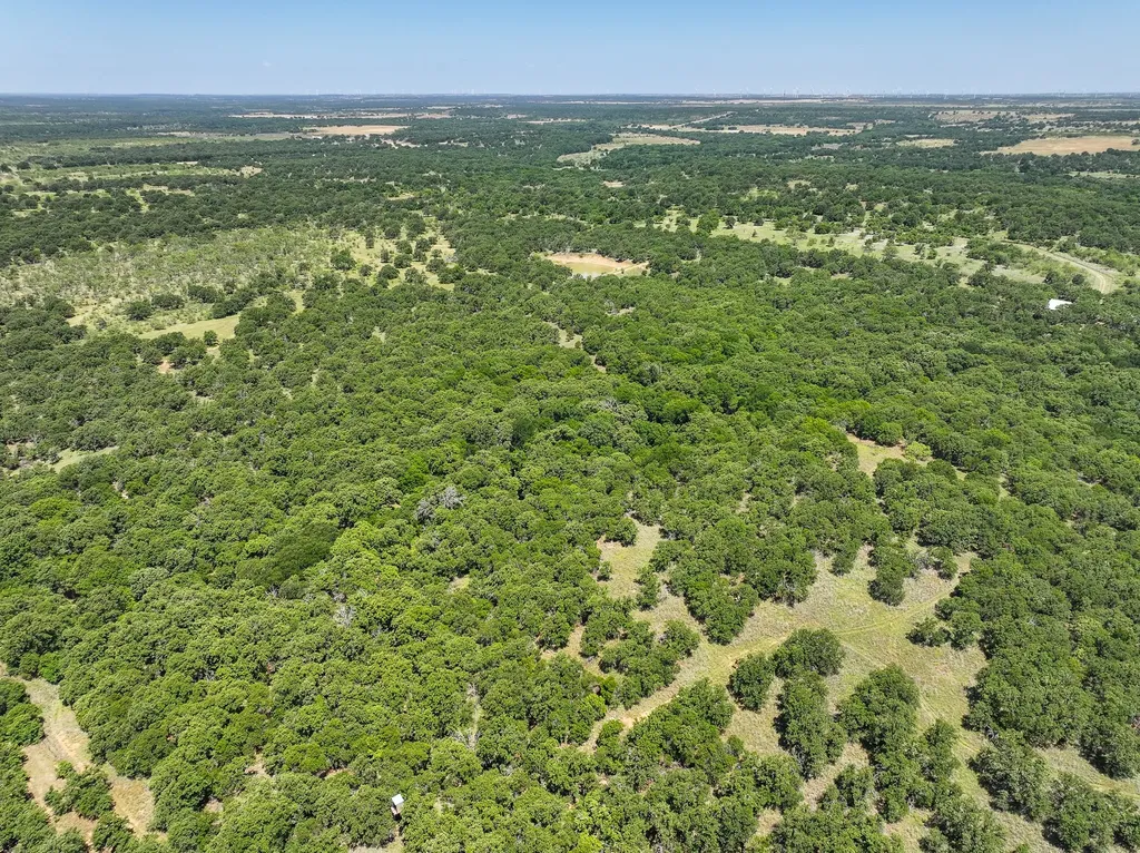 18156 Hwy 281 N Jacksboro TX 76458