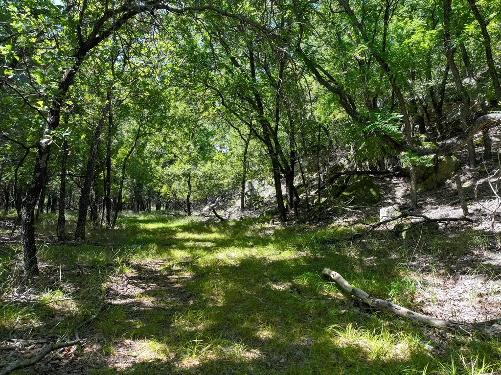 18156 Hwy 281 N Jacksboro TX 76458