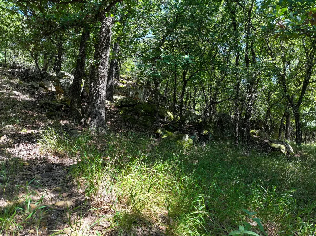 18156 Hwy 281 N Jacksboro TX 76458