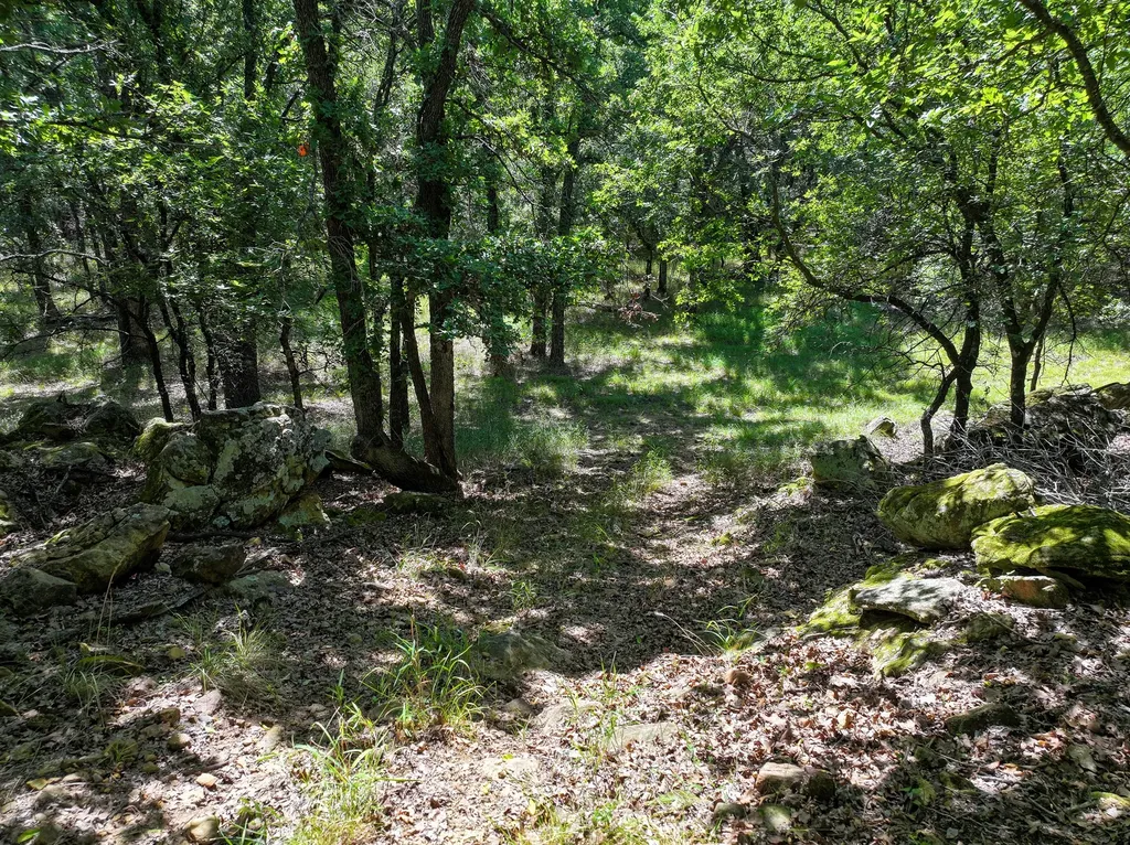 18156 Hwy 281 N Jacksboro TX 76458