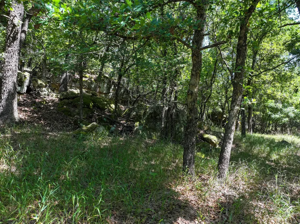 18156 Hwy 281 N Jacksboro TX 76458