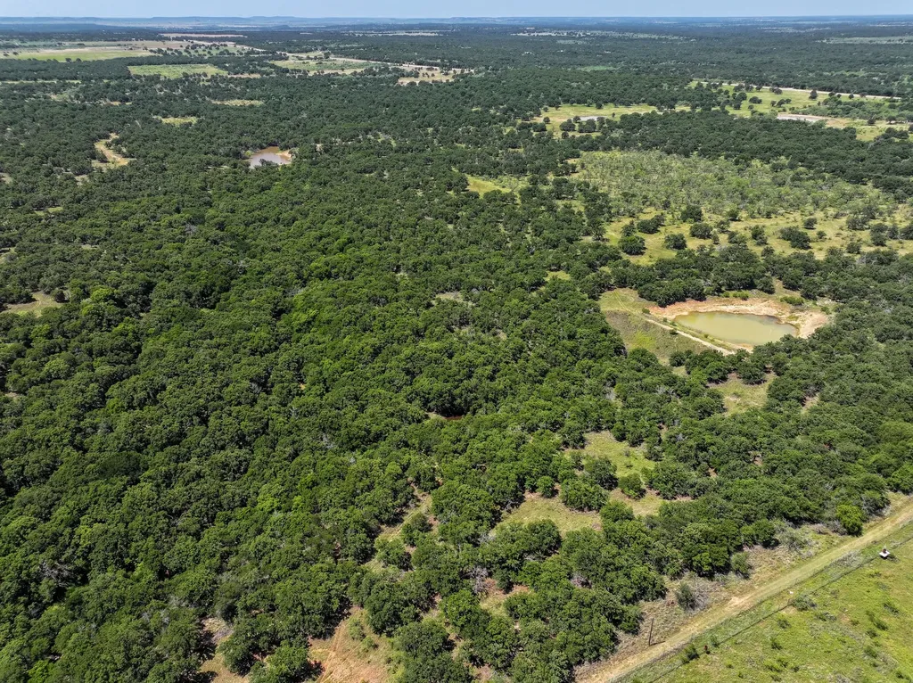 18156 Hwy 281 N Jacksboro TX 76458