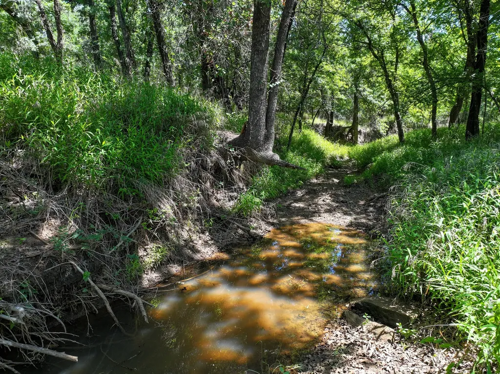 18156 Hwy 281 N Jacksboro TX 76458