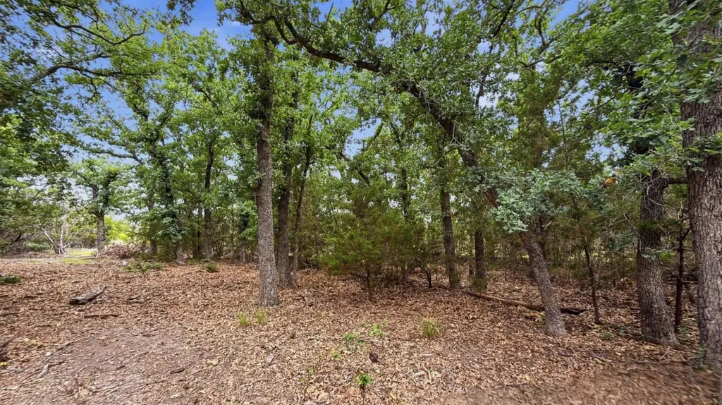 Lot 97 Ph 6 Pr 42101 Evant TX 76525
