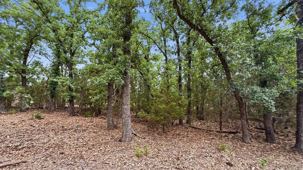 Lot 97 Ph 6 Pr 42101 Evant TX 76525
