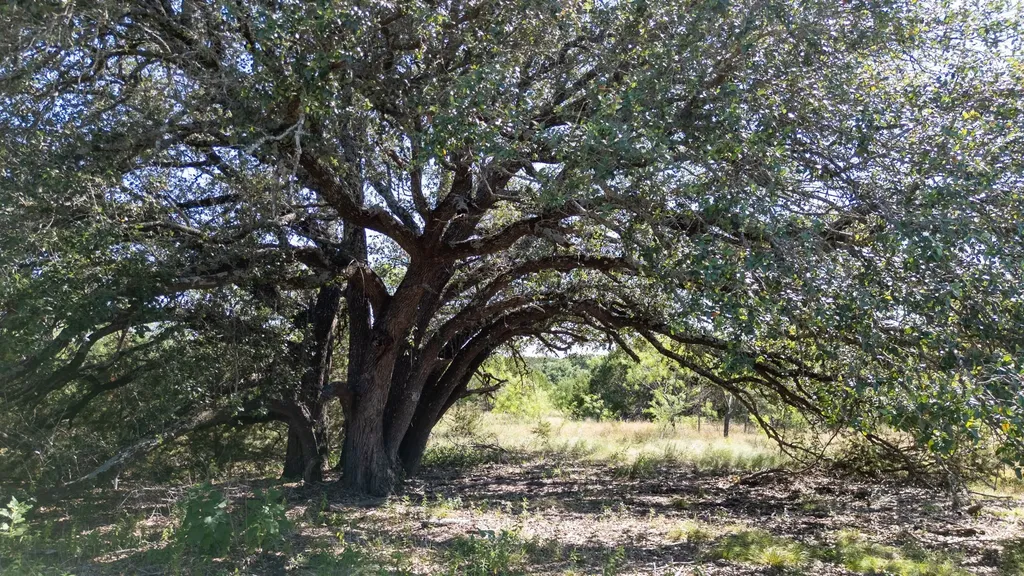 Lot 2 Ph 3 Pr 4218 Evant TX 76525