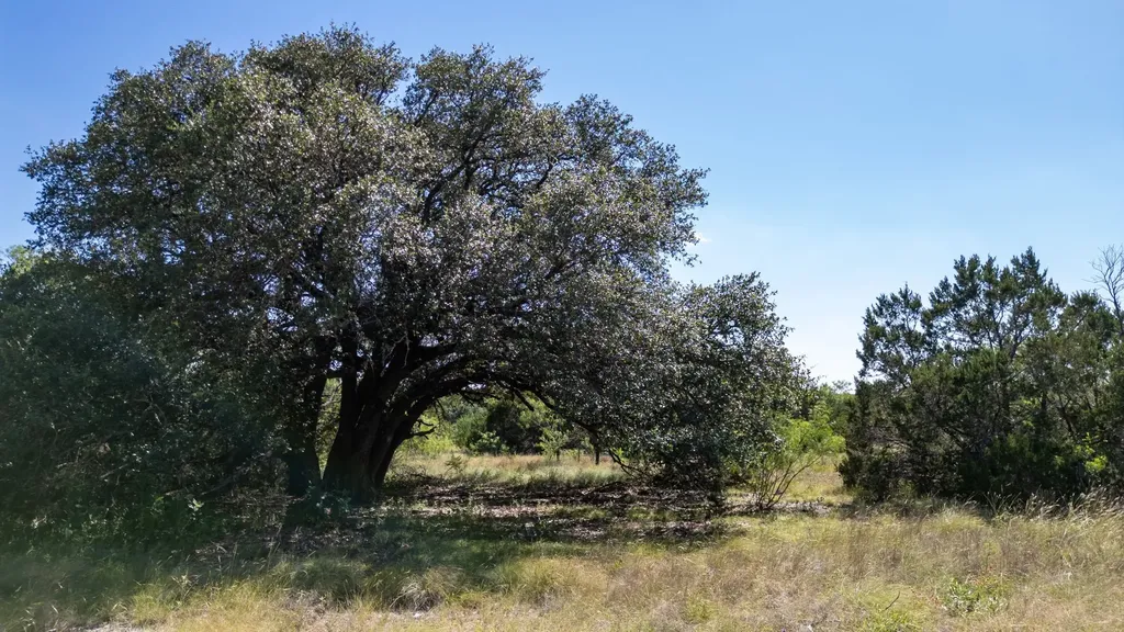 Lot 2 Ph 3 Pr 4218 Evant TX 76525