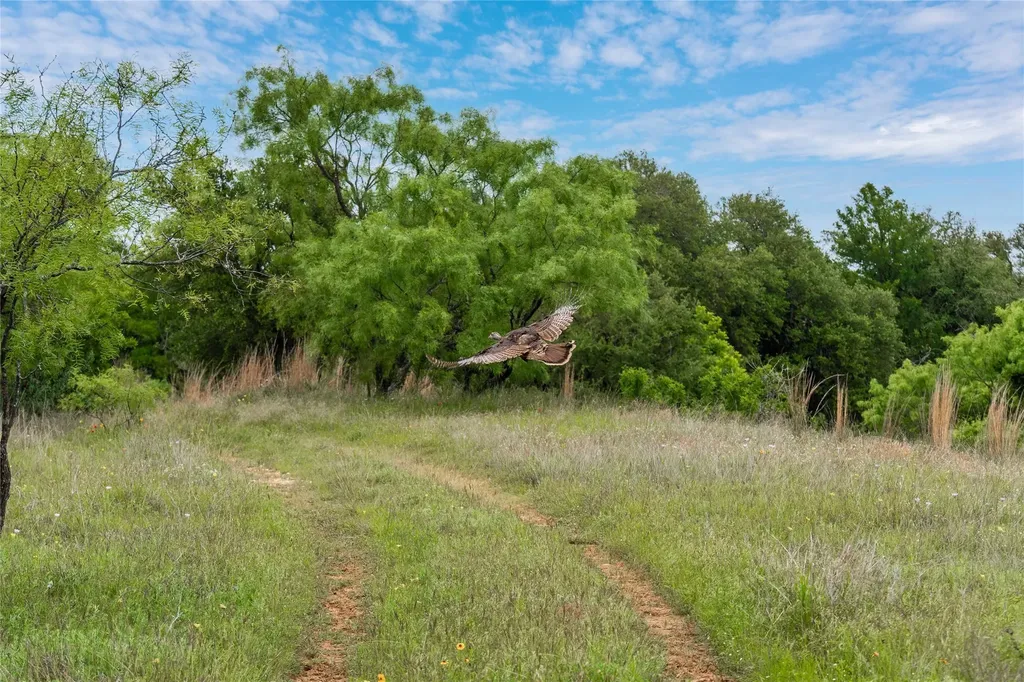 Tbd County Road 267 Early TX 76802