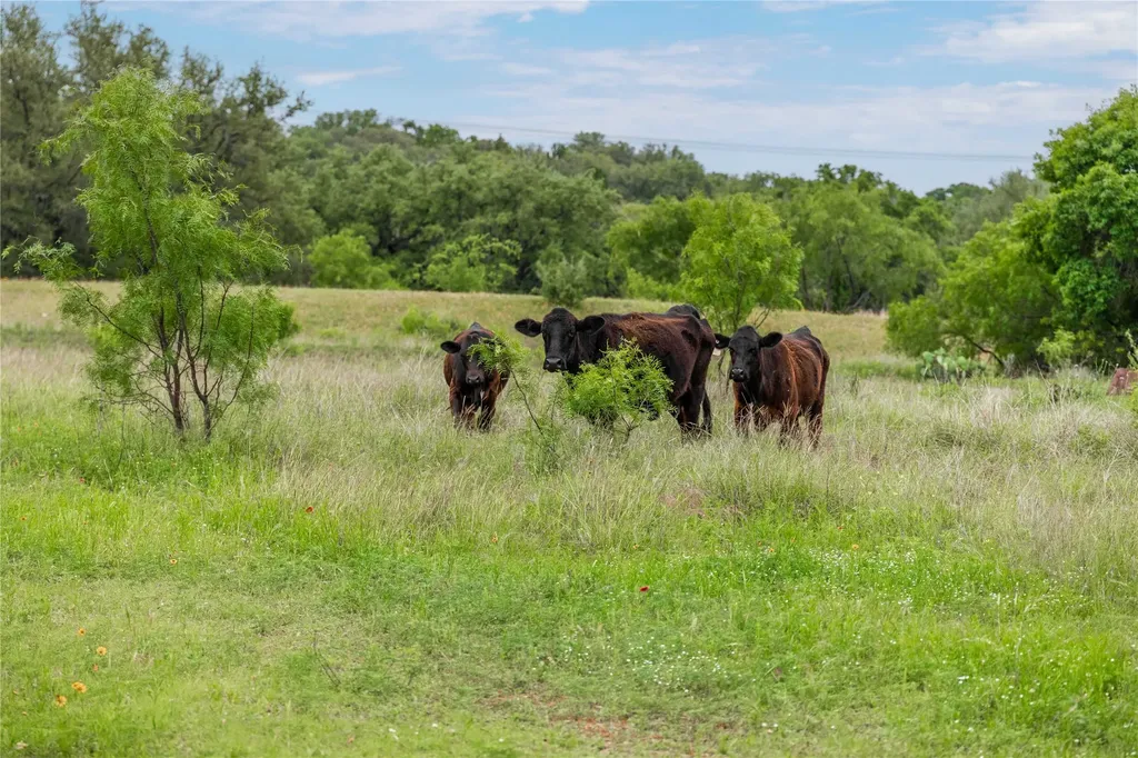 Tbd County Road 267 Early TX 76802