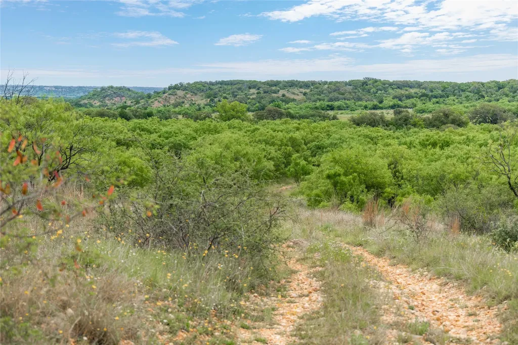 Tbd County Road 267 Early TX 76802