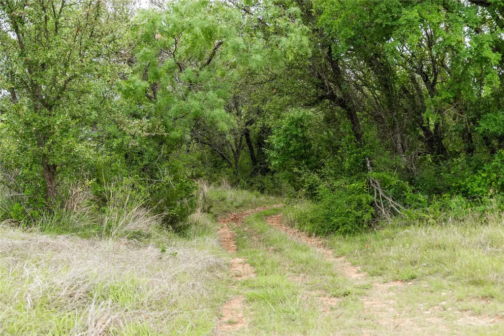 Tbd County Road 267 Early TX 76802