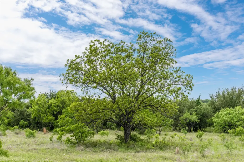 Tbd County Road 267 Early TX 76802