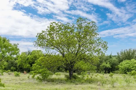Tbd County Road 267 Early TX 76802