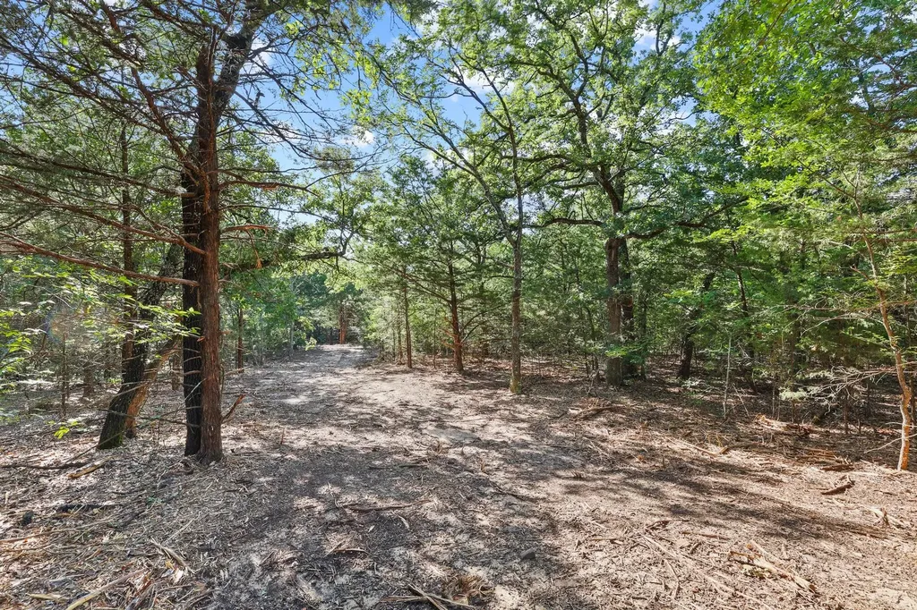 Tract 2 County Road 265 Collinsville TX 76233