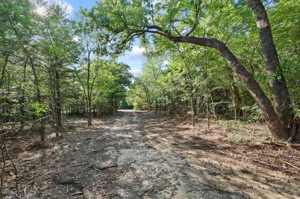 Tract 1 County Road 265 Collinsville TX 76233