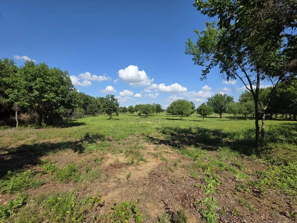 Tbd Naylor Road Oak Point TX 75068