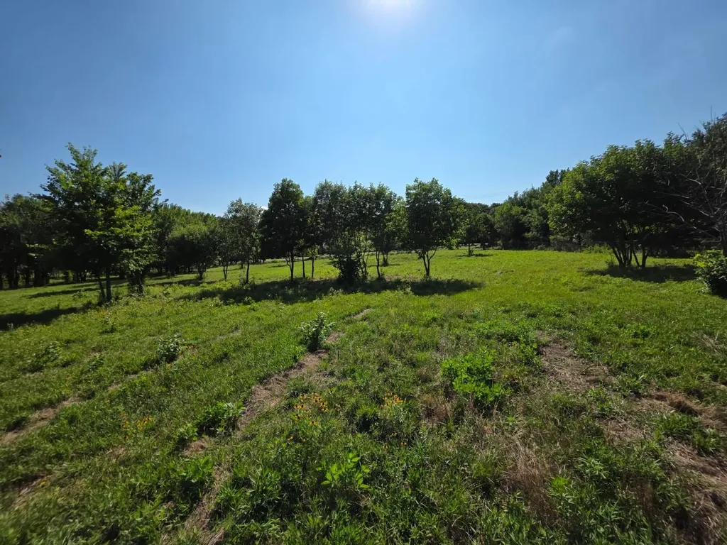 Tbd Naylor Road Oak Point TX 75068