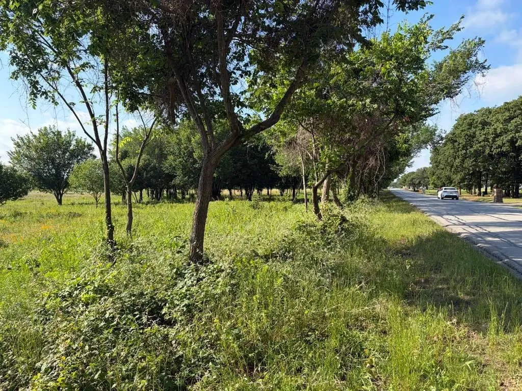Tbd Naylor Road Oak Point TX 75068