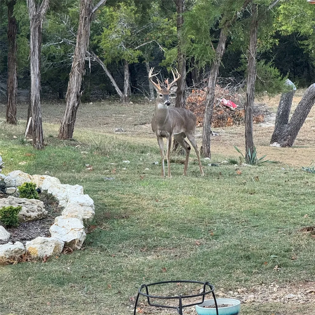 124 Bluffview Circle China Spring TX 76633