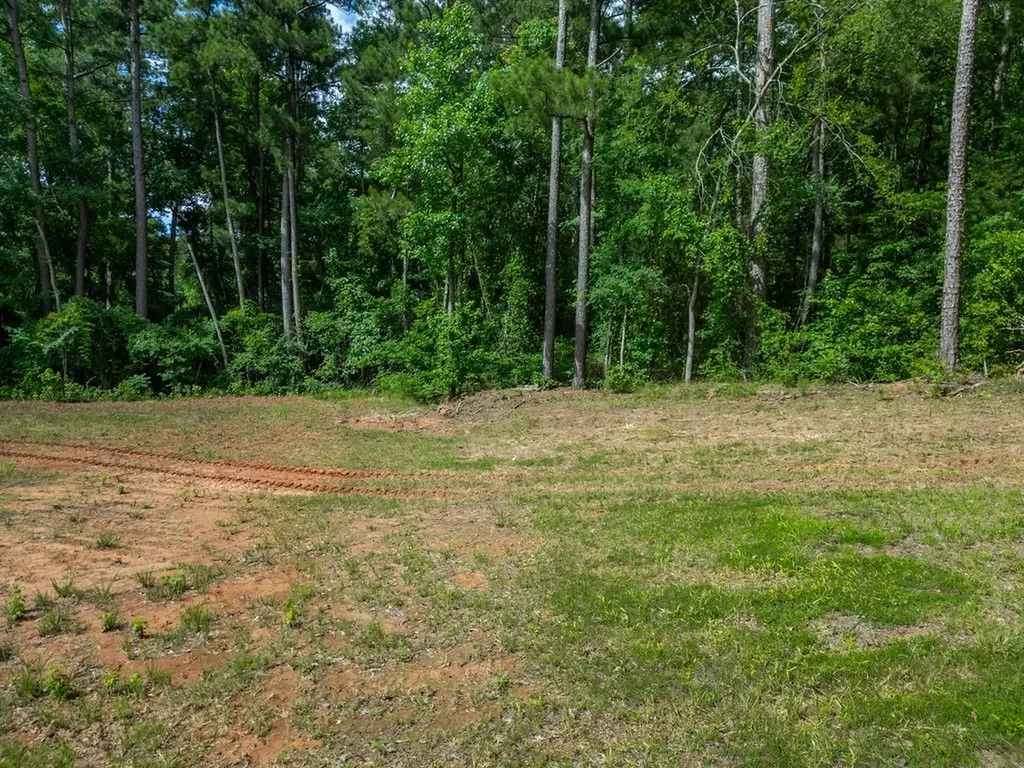 Tbd County Road 2232 Daingerfield TX 75638