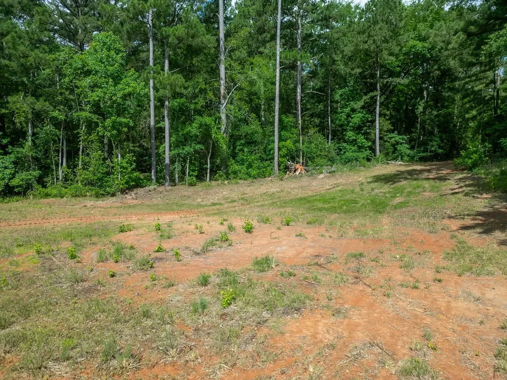 Tbd County Road 2232 Daingerfield TX 75638