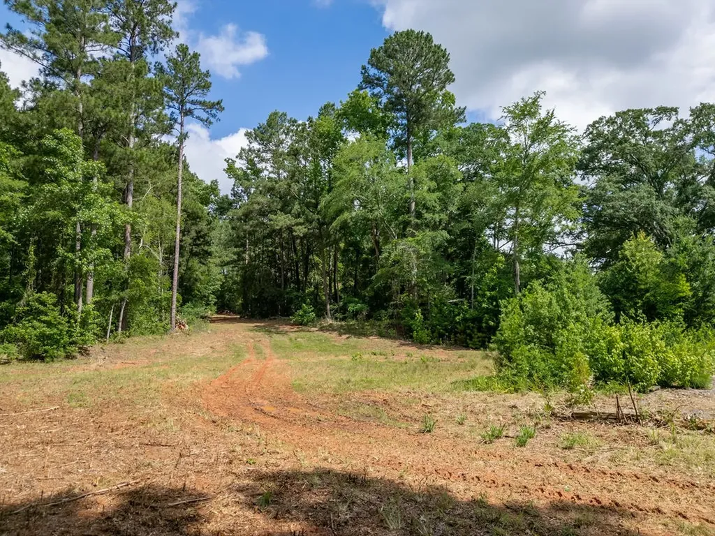 Tbd County Road 2232 Daingerfield TX 75638