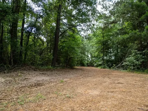 Tbd County Road 2232 Daingerfield TX 75638