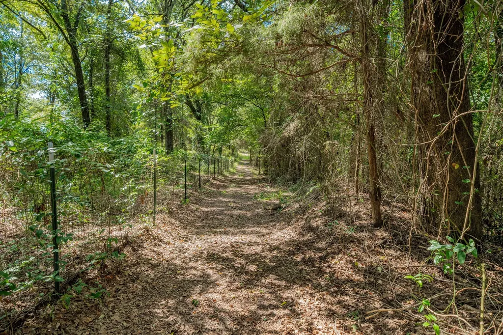 815 Vz County Road 4409 Ben Wheeler TX 75754