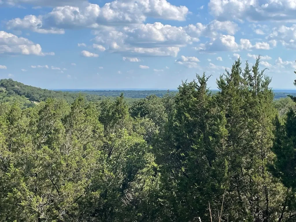 Tbd Pecan Shell Road Desdemona TX 76445