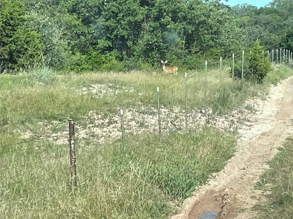 Tbd Pecan Shell Road Desdemona TX 76445
