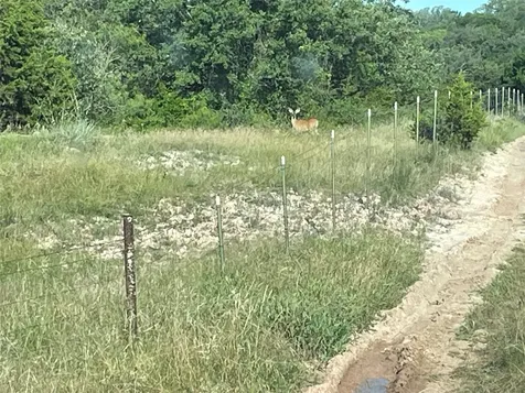 Tbd Pecan Shell Road Desdemona TX 76445